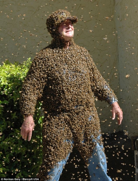 man with bees